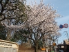 p3270302